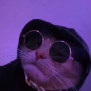 Meet your Posher, Sirisaac